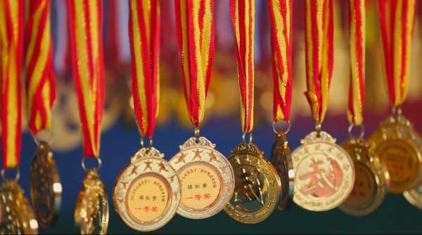 中华龙拳历史与发展现状